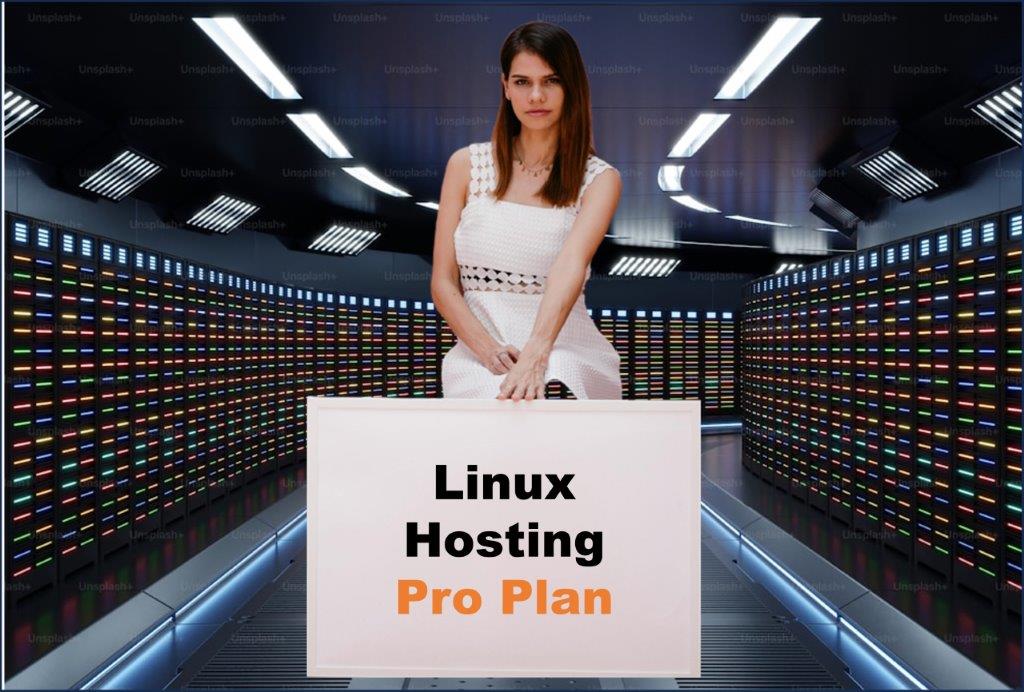 linux hosting windows hosting provider in Jackson Mississippi
